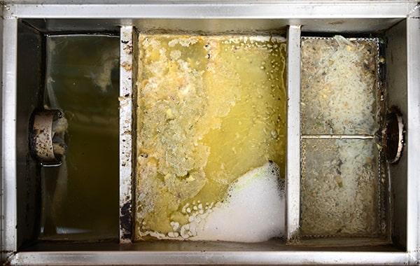 putting off regular grease interceptor cleaning can lead to plumbing concerns, foul odors, and health code violations